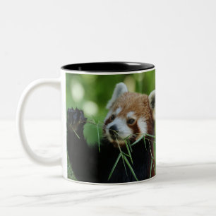 RedPanda 002 Two-Tone Coffee Mug