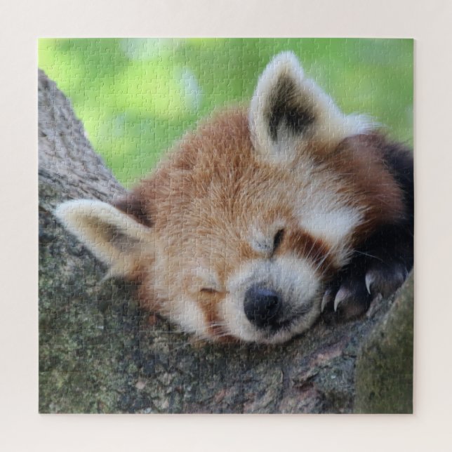 RedPanda 2020-03-02 Jigsaw Puzzle (Vertical)