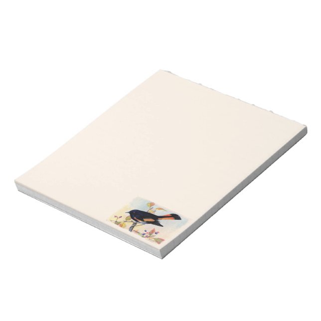 Redstart Bird Notepad (Rotated)