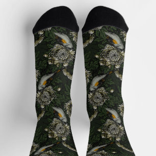 Redstarts in the chrysanthemums in green and white socks