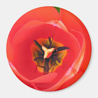 RedTulip Magnet