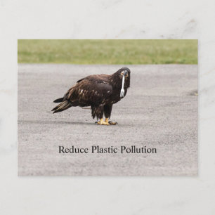 Reduce Plastic Pollution Postcard