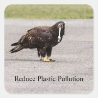 Reduce Plastic Pollution