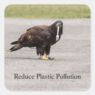 Reduce Plastic Pollution Square Sticker