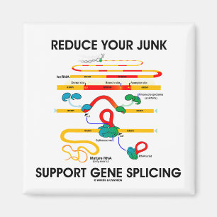 Reduce Your Junk Support Gene Splicing (RNA Magnet