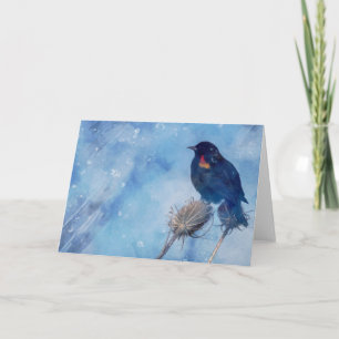 Redwing Blackbird on Blue Artistic Photo Card