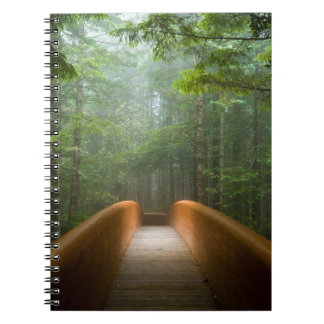 Redwood Forest Bridge Notebook