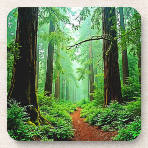 Redwood Forest Misty Tranquillity Design Coaster