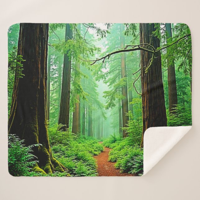 Redwood Forest Misty Tranquillity Design Sherpa Blanket (Front (Horizontal))