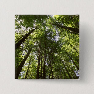 Redwood Forest, Rotorua, New Zealand 2 15 Cm Square Badge
