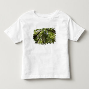 Redwood Forest, Rotorua, New Zealand 2 Toddler T-Shirt