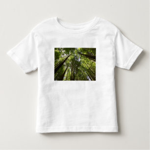 Redwood Forest, Rotorua, New Zealand 2 Toddler T-Shirt