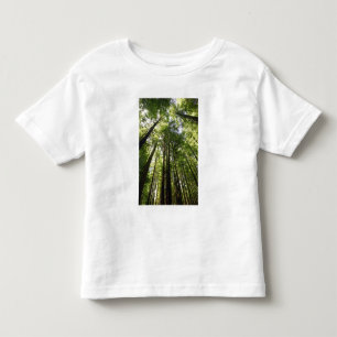 Redwood Forest, Rotorua, New Zealand Toddler T-Shirt