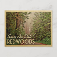 Redwood Forest Save The Date Humboldt California