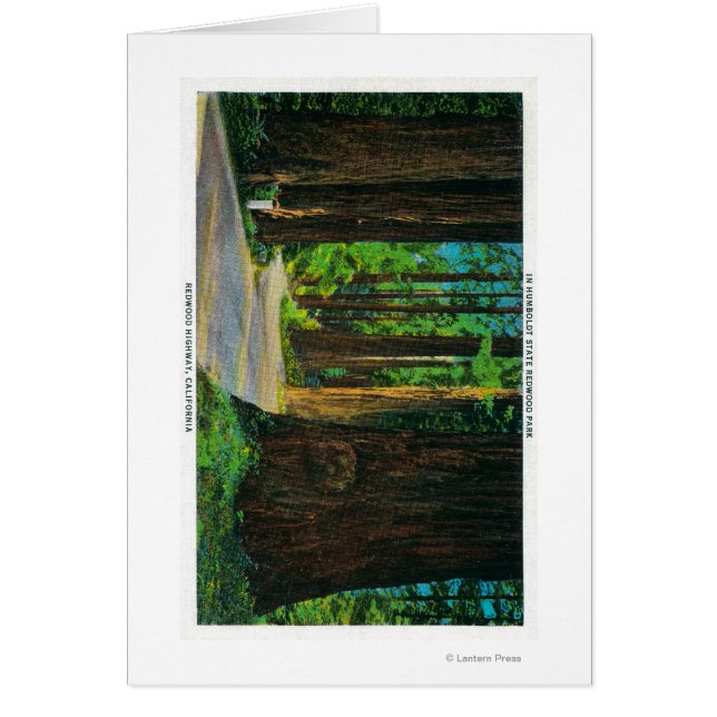 Redwood Highway in Humboldt State Redwood Park (Front)