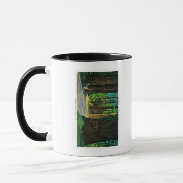 Redwood Highway in Humboldt State Redwood Park Mug (Left)
