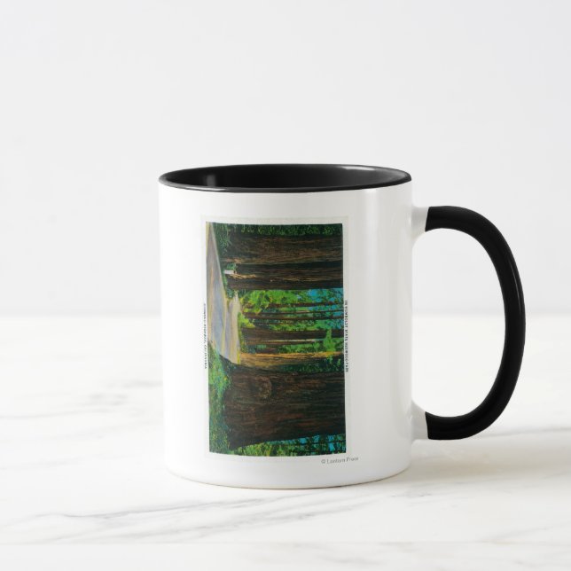 Redwood Highway in Humboldt State Redwood Park Mug (Right)