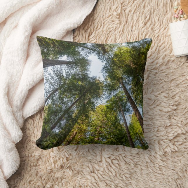 Redwood National and State Parks, California Cushion (Blanket)