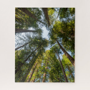 Redwood National and State Parks, California Jigsaw Puzzle