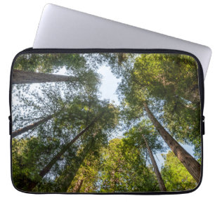 Redwood National and State Parks, California Laptop Sleeve