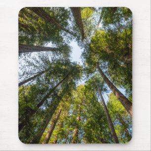 Redwood National and State Parks, California Mouse Pad