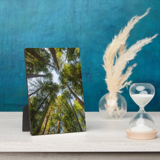 Redwood National and State Parks, California Plaque (Side)