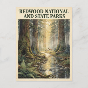 Redwood National and State Parks Vintage Postcard