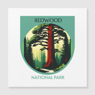 Redwood National Park Beauty in California