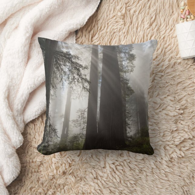 Redwood National Park California Cushion (Blanket)