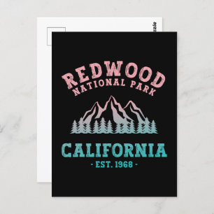 Redwood National Park California Gradient Postcard