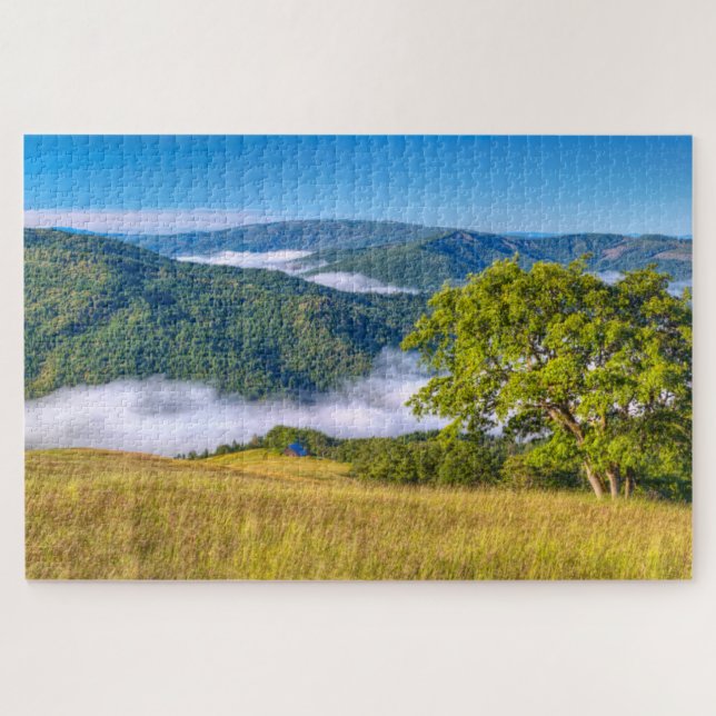 Redwood National Park, California Jigsaw Puzzle (Horizontal)