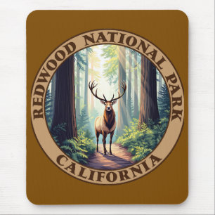 Redwood National Park California Mouse Pad