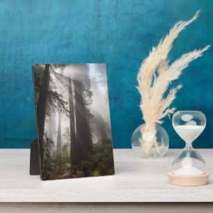 Redwood National Park California Plaque