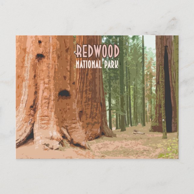 Redwood National Park California Postcard (Front)