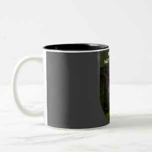 Redwood National Park - California Two-Tone Coffee Mug