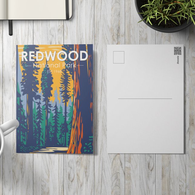 Redwood National Park California Vintage Postcard (Creator Uploaded)