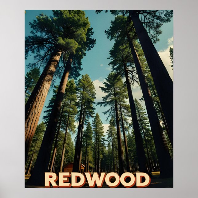 Redwood National Park California Vintage Poster (Front)