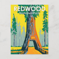 Redwood National Park Chandelier Tree Vintage