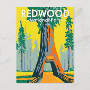 Redwood National Park Chandelier Tree Vintage Postcard