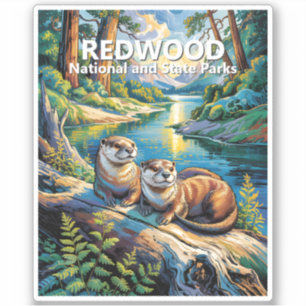 Redwood National Park Colorful Animal Cute Otters