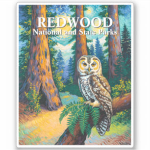 Redwood National Park Colorful Forest Owl Wildlife