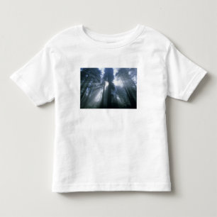 Redwood National Park, Del Norte County, foggy Toddler T-Shirt