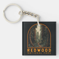 Redwood National Park Illustration Trail Vintage