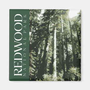 Redwood National Park Magnet