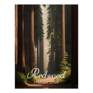 Redwood National Park USA Travel Poster