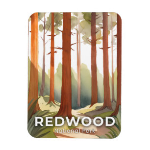 Redwood National Park Watercolor Travel Art Magnet