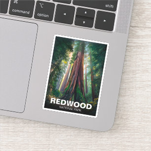 Redwood national state park, Coastal California
