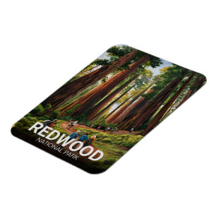 Redwood national state park, Coastal California Magnet