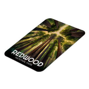 Redwood national state park, Coastal California  Magnet