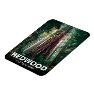 Redwood national state park, Coastal California  Magnet